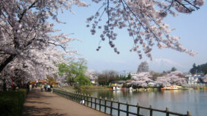 高松公園の池からの桜の画像