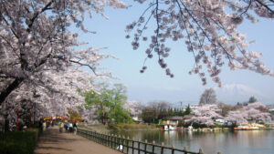 高松公園の池からの桜の画像